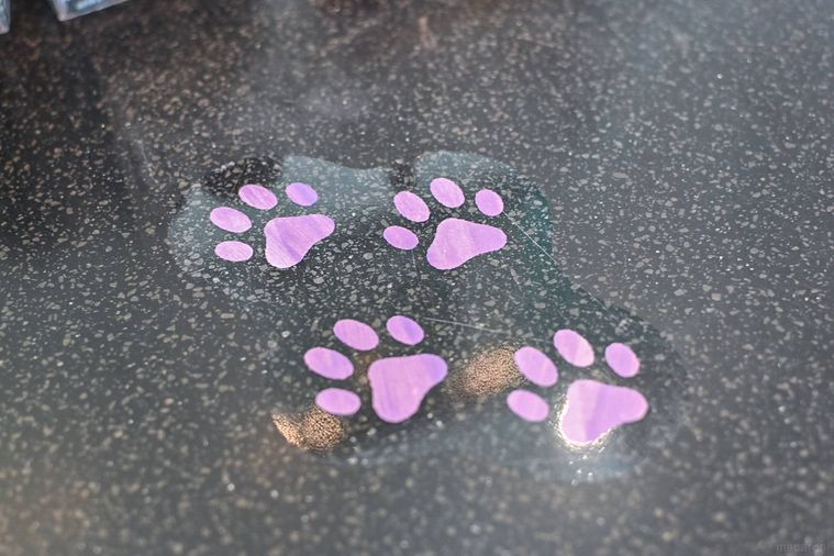 猫の足跡のデコレーション