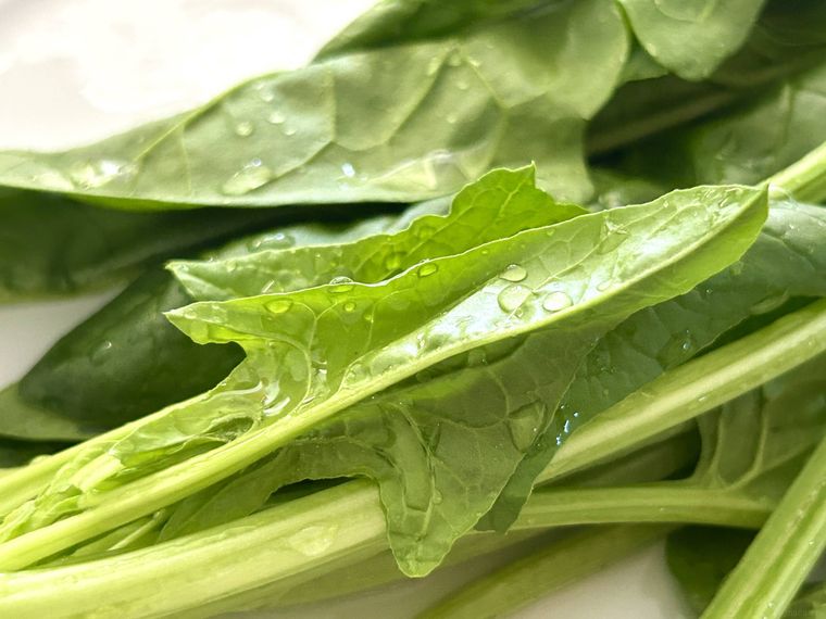 ほうれん草に水分がついているところ