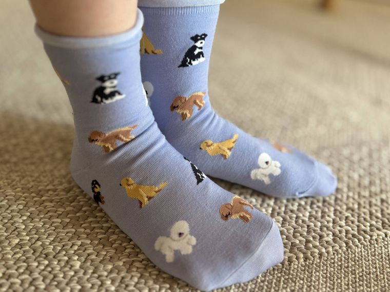 婦人ショートクルー丈 色んな犬種ポーズ柄を履いた様子