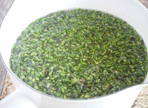 しその実の塩漬け アイデアレシピ12選 意外と使える万能食材 Macaroni