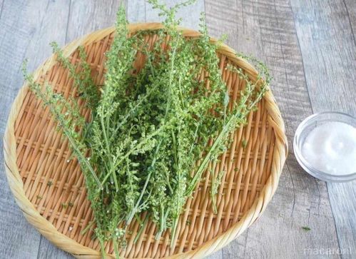 しその実の塩漬け アイデアレシピ12選 意外と使える万能食材 Macaroni