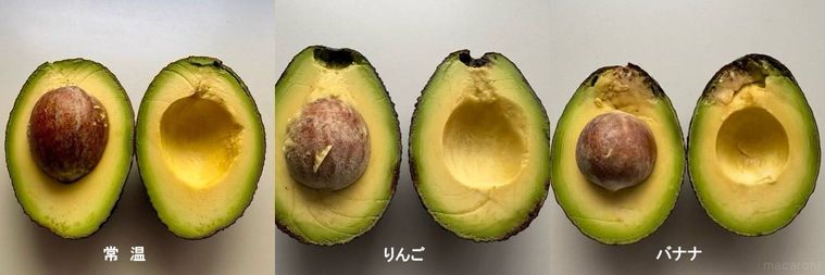 3パターンのアボカドをカットした様子