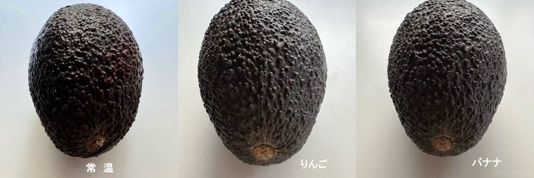 3パターンのアボカドがの表面が変化している様子