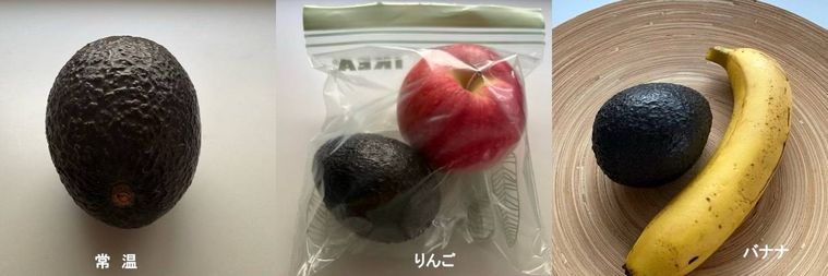そのまま、りんごと袋に入れる、バナナをそばに置いたアボカド