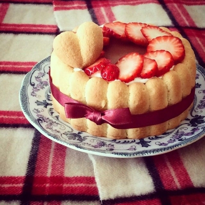 インスタで話題!おしゃれな「シャルロットケーキ」はクリスマスにもおすすめ♫