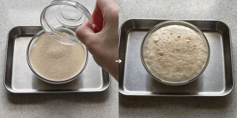 牛乳と水にドライイーストを入れる様子