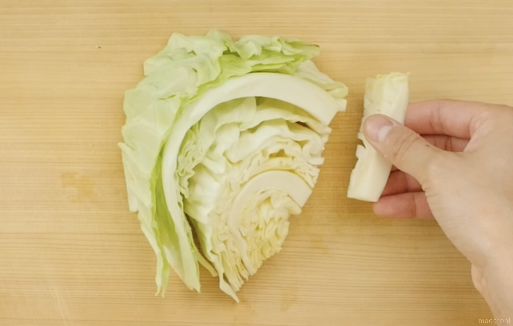 【動画解説】キャベツの千切りのやり方&保存方法。おすすめレシピもチェック - macaroni