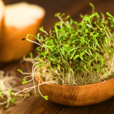 花粉症にも!?「ブロッコリースプラウト」のすごい効果が話題!効果的な食べ方もご紹介