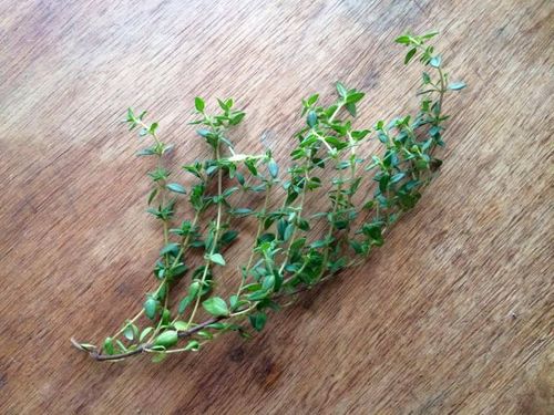 西洋料理に欠かせないハーブ タイム を使う 春の異国風レシピ Macaroni