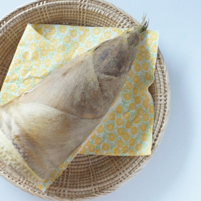 たけのこの正しい選び方からゆで方、保存法を一挙紹介!栄養たっぷりのたけのこを美味しく味わおう!