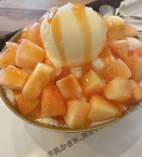 ふわふわかき氷機 韓国製 ビンス 韓国スイーツ （東京都内の