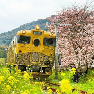 旅に出よう!「マツコの知らない世界」紹介の豪華鉄道5選