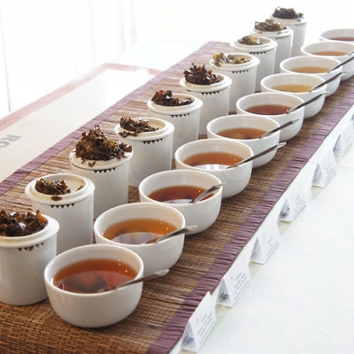 いまさら聞けない「紅茶」の種類と選び方。ダージリンってなんのこと?