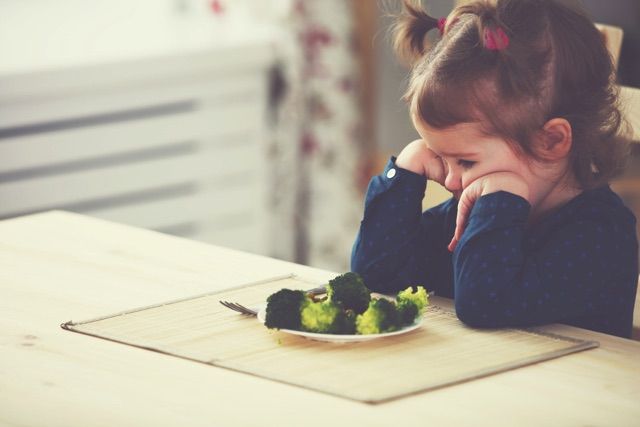 好き嫌いが多い子はわがまま 好きなものしか食べない 野菜を食べない そんなわが子に悩んだら おやこのくふう