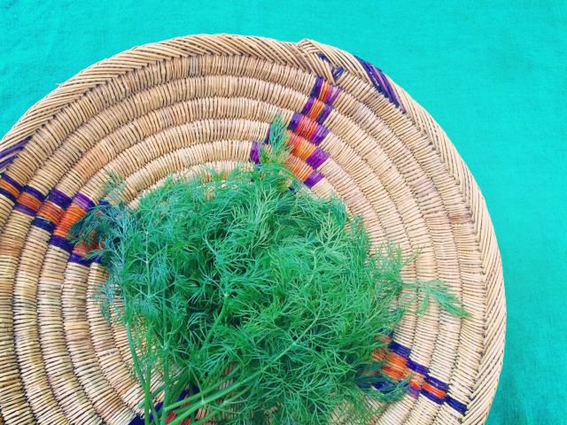 さわやかに香るハーブ ディル を使った 初夏の異国風レシピ Macaroni