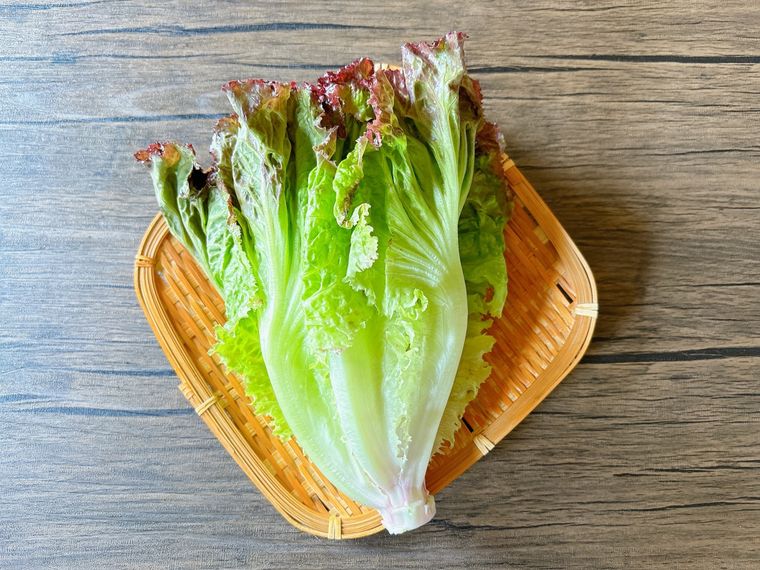 ザルに盛られたサニーレタス