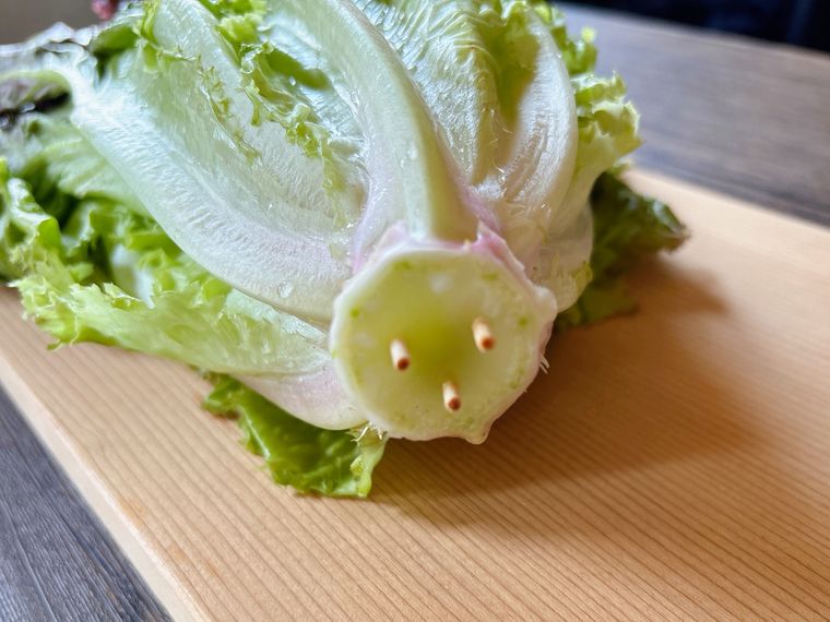 サニーレタスの芯に爪楊枝を3本刺したもの