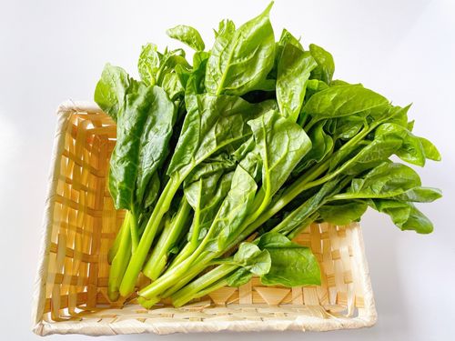 ツルムラサキってどんな野菜食べ方や栄養素、レシピ14選をご紹介