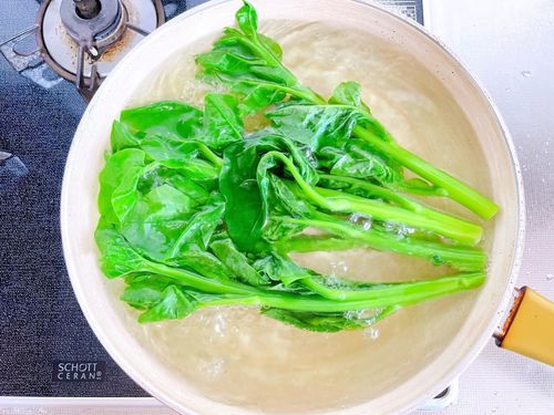 ツルムラサキってどんな野菜 食べ方や栄養素 レシピ14選をご紹介 2ページ目 Macaroni