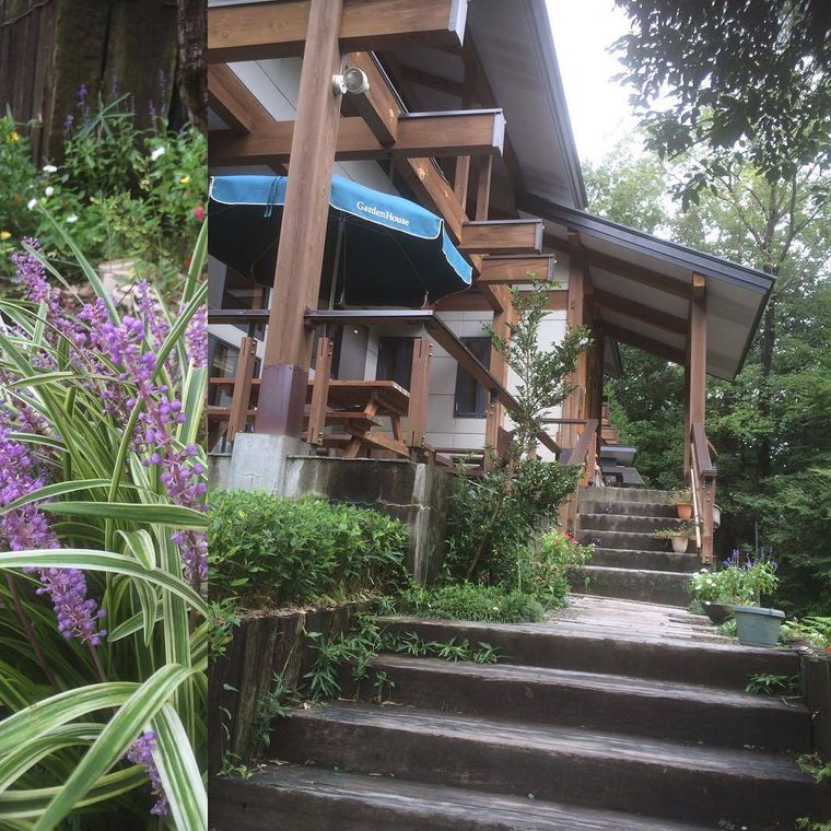 花が咲いた益子 森のレストラン益子の茶屋3号店の入口