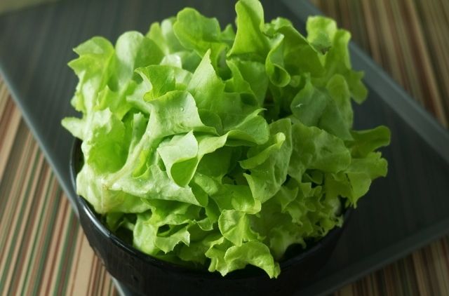 ペロッと1玉食べられちゃう 蒸しレタス のおすすめレシピまとめ Macaroni ペロッと1玉食べられちゃう 蒸しレタス のおすすめレシピまとめ Macaroni