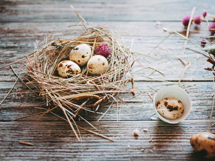 Vgz2krntyhsbm Vgz2krntyhsbm