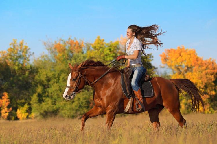 女性が乗った馬が爽快に走る様子