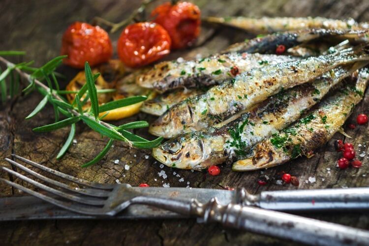 「魚に痛覚はない」の?新たな研究結果から異論の声もあるらしいの画像