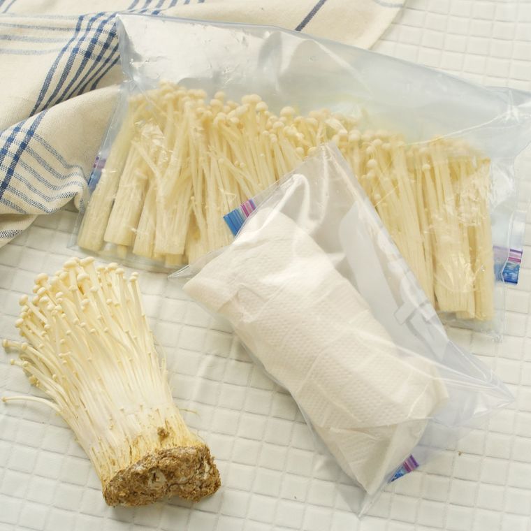 キッチンペーパーで包まれたえのきだけと保存袋に入ったえのきだけ