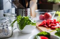 自宅でどんどん増やす バジルを収穫するコツと保存方法ガイド Macaroni