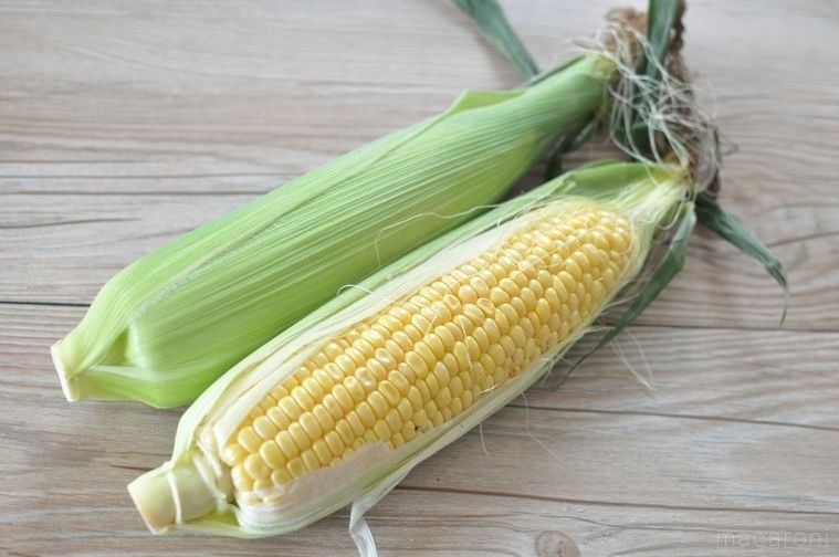 とうもろこしを2本並べたもの