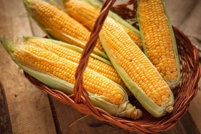 迷走しまくり!? 野菜の品種名に爆笑必至!さつきみどりって何の野菜?の画像