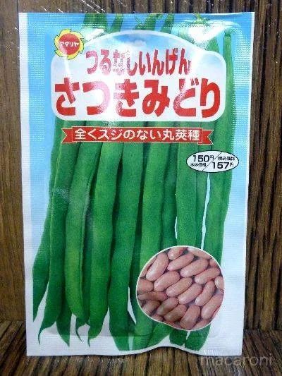 迷走しまくり!? 野菜の品種名に爆笑必至!さつきみどりって何の野菜?の画像