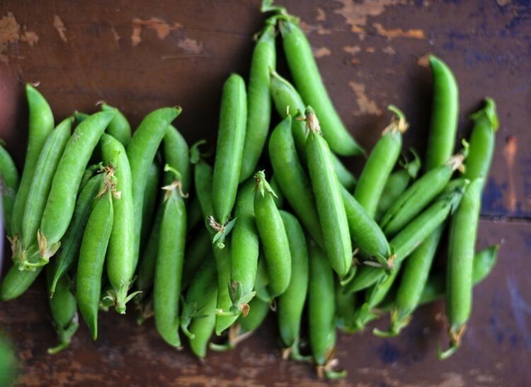 迷走しまくり!? 野菜の品種名に爆笑必至!さつきみどりって何の野菜?の画像