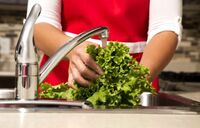 台所用洗剤で 野菜 が洗える 料理の新常識にネットが震撼 Macaroni