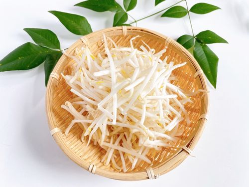 【野菜ソムリエ解説】もやしの冷蔵・冷凍保存方法を極める
