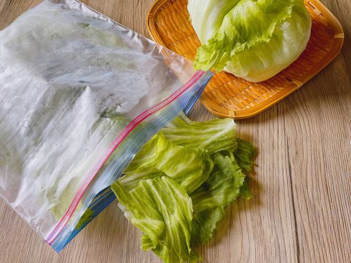 【野菜のプロ直伝】最大2週間日持ちするレタスの冷凍法＆解凍方法
