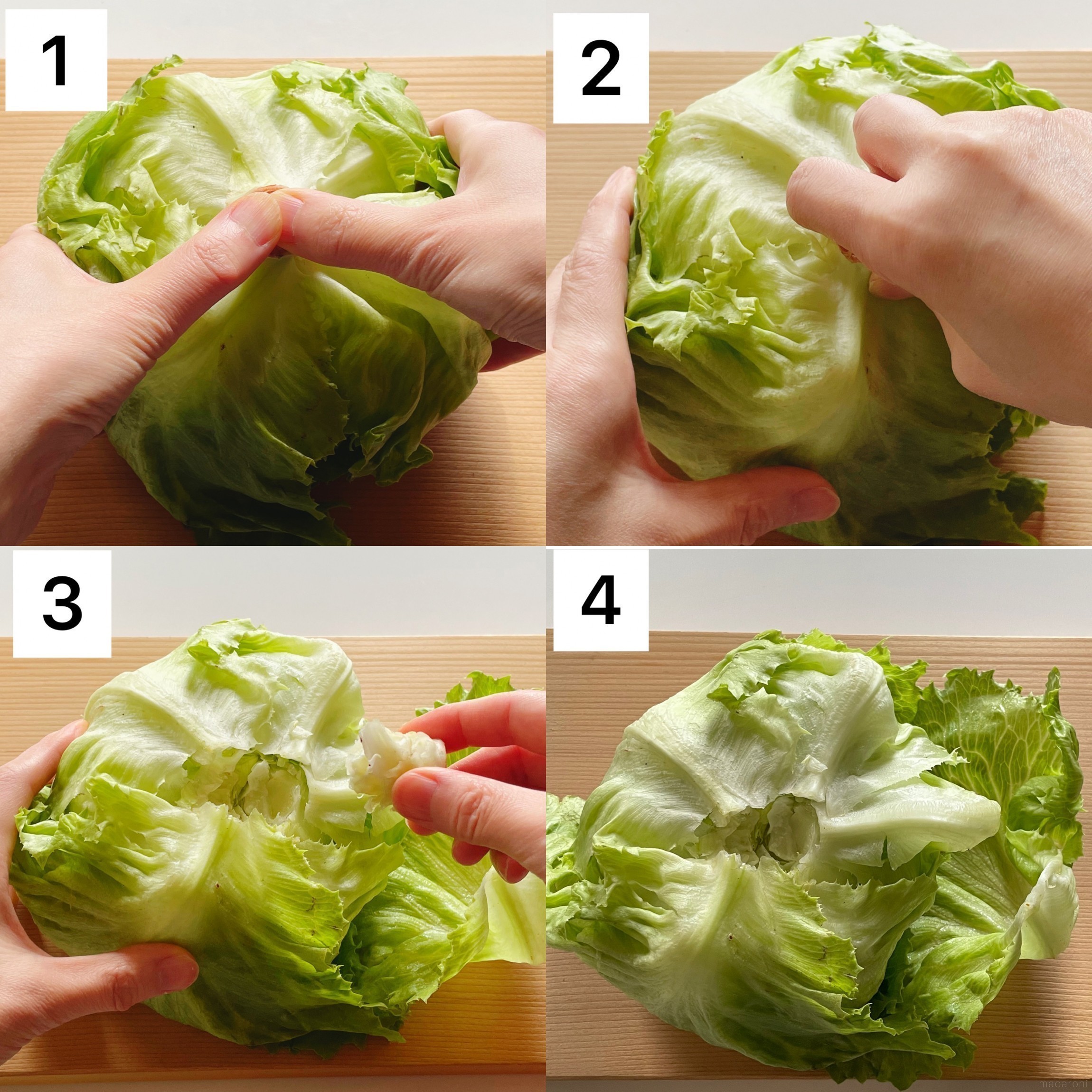 冷蔵 冷凍 カット レタスの上手な保存方法を徹底紹介 Macaroni