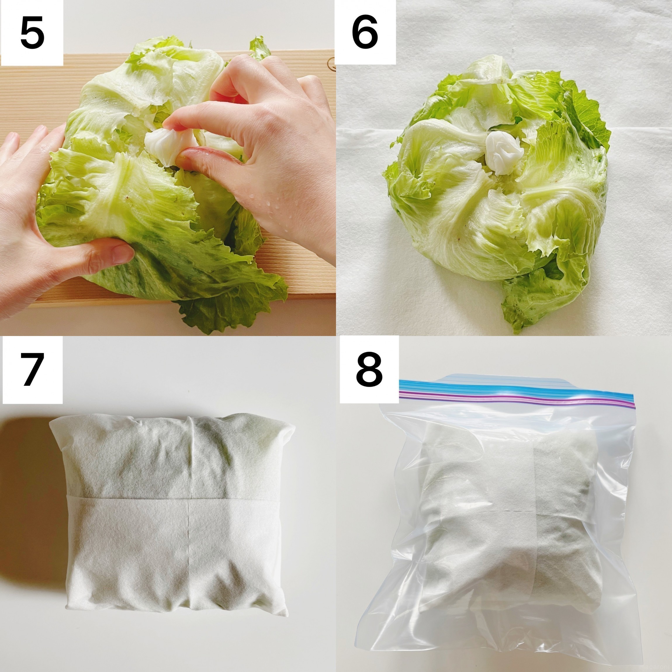 レタス 冷凍 保存