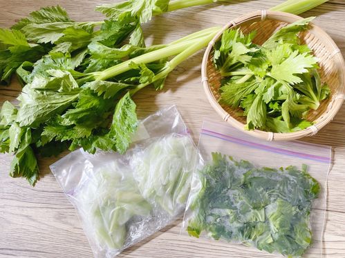 セロリは冷凍保存こそ便利！おすすめレシピで葉っぱまで賢く使い切る