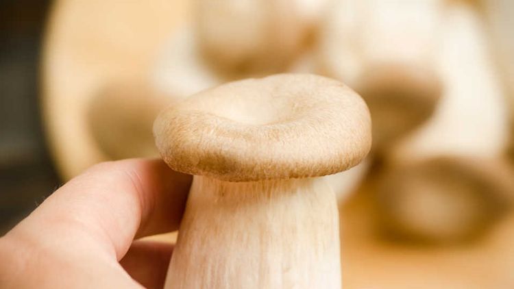 エリンギの賞味期限ってどのくらい １年持たせる保存テク発見 Macaroni
