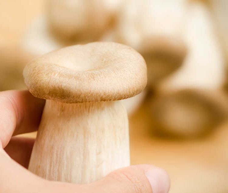 エリンギの賞味期限ってどのくらい １年持たせる保存テク発見 3ページ目 Macaroni