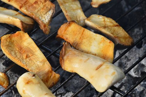 エリンギの賞味期限ってどのくらい １年持たせる保存テク発見 Macaroni