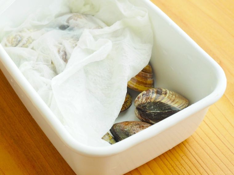 保存容器に入れてキッチンペーパーを被せたはまぐり