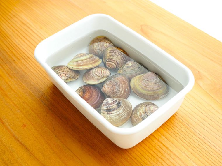 白い容器に水と一緒に入れたはまぐり