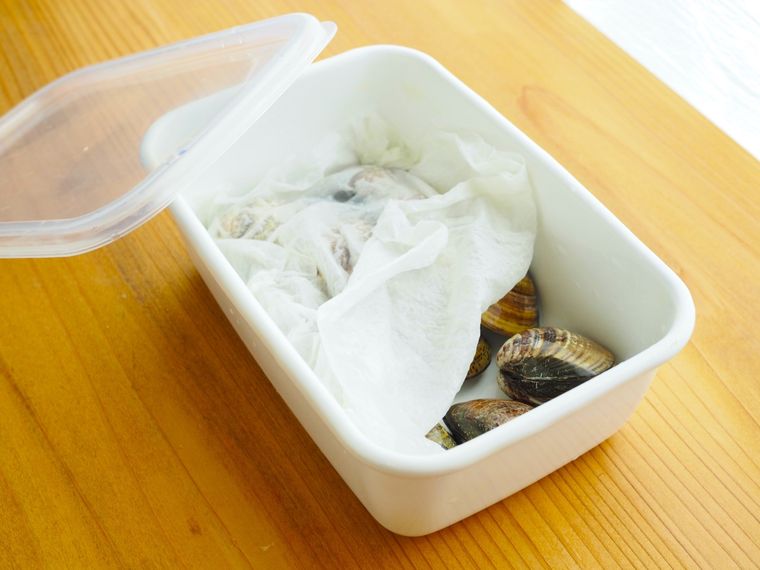 白い保存容器に入れたはまぐり