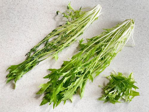 水菜の冷蔵＆冷凍保存方法！野菜ソムリエが解説