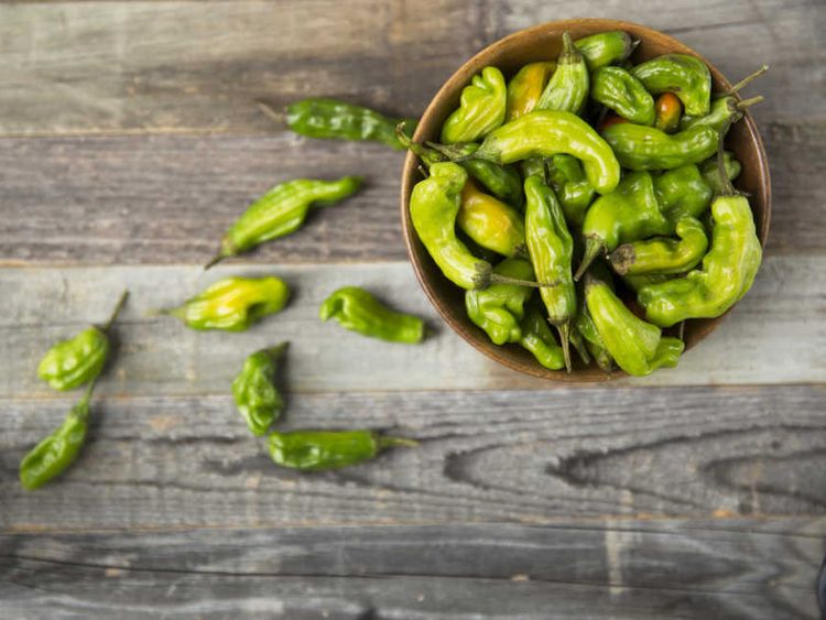 10本に1本は激辛 ししとう が辛い原因と見分け方のコツ Macaroni