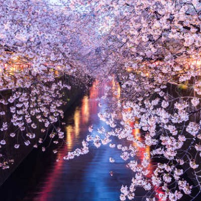 目黒川沿いの桜は格別♩中目黒でお花見できるレストラン20選