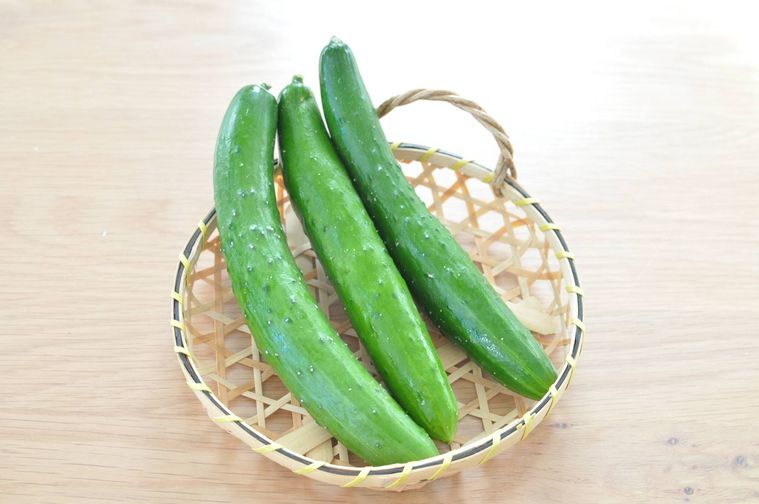 冷蔵 冷凍 適切なきゅうりの保存方法 作り置きレシピも Macaroni